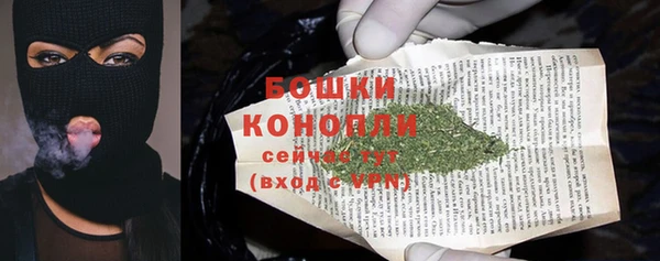 ешки Белокуриха
