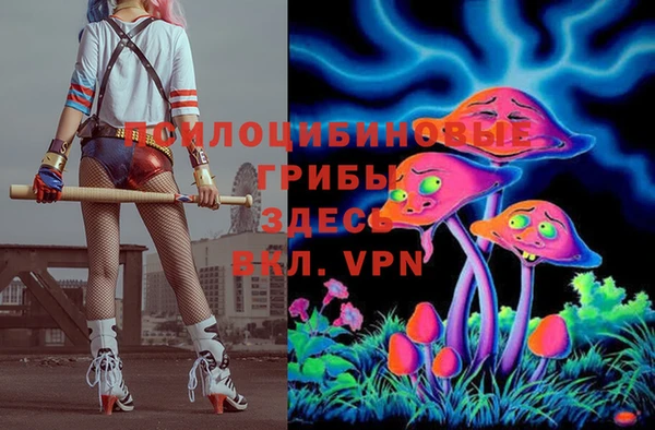ешки Белокуриха