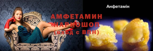 стаф Богданович