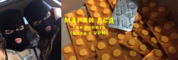 стафф Богородицк