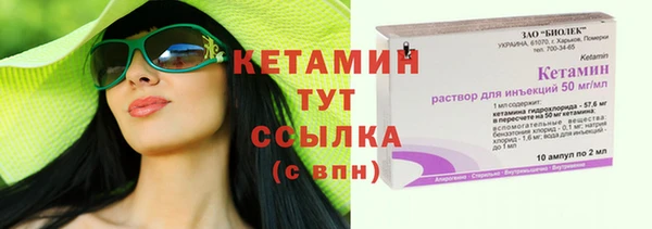 стаф Богданович