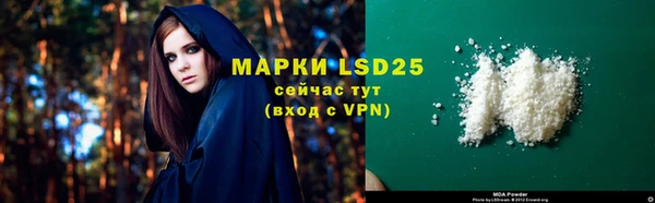 ешки Белокуриха