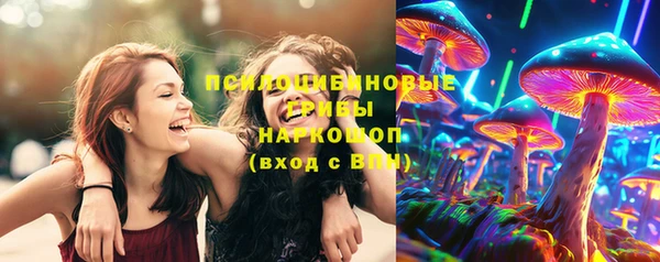 стафф Богородицк