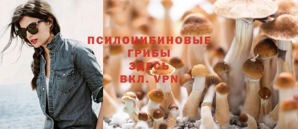 стафф Богородицк