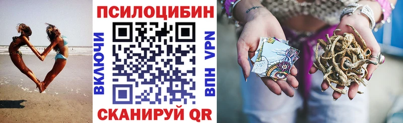 Псилоцибиновые грибы мицелий где найти Саратов